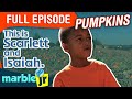 This is Scarlett and Isaiah - Season 1 - This is Isaiah picking pumpkins