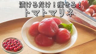 【トマトマリネ】 漬けるだけ で 超かんたん！ 中性脂肪 を減らす トマト の さっぱり漬け の 作り方 １週間保存できる 無限 トマトレシピ　多めに作って作り置きにも