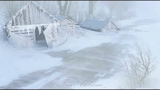 Blizzard \u0026 Strong arctic winds hit roadside cabins with freezing weather / Nature sound effects