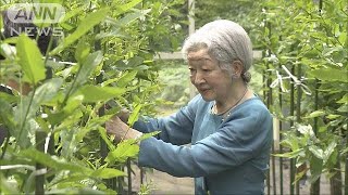 皇后さまが最後のご養蚕　皇居で伝統の「山つけ」(18/05/02)