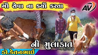 ગૌ સેવા ના કાર્યો કરતા ડોક્ટર કેતનભાઇ ની મુલાકાત #amar_vlogs