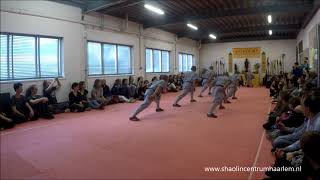 Shaolin Ba Duan Jin and Chang Hu Xin Yi Men Quan