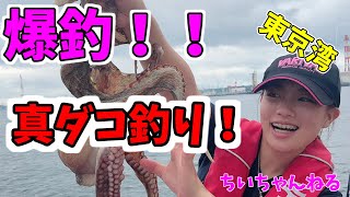 【マダコ釣り】豚肉巻いて爆釣！【エギタコ】週間釣りニュース取材