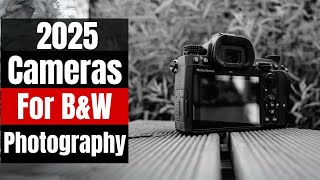 BEST Cameras for Black and White Photography in 2025 [Don't Choose Wrong! (I did at first)]