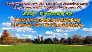 我们这一辈和共和国同年岁 郑文沛纽约中央公园美生太极演练 Central Park New York USA Taijiquan Demonstration