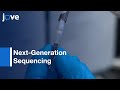 Magnetic-Bead-Based Mosquito DNA Extraction Protocol-Next-Generation Sequencing l Protocol Preview