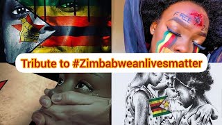 A prayer for my Land:🙏 #Zimbabweanlivesmatter//#Alllivesmatter 🇿🇼