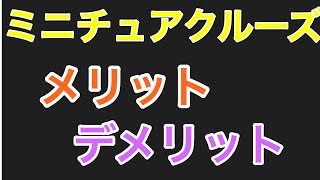 ミニチュアクルーズのメリットとデメリットについて【軽キャンピングカー】