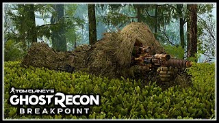 Ghost Recon Breakpoint | Ghillie in the Mist, M4a1 Survival Extreme NO HUD