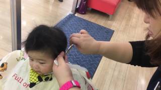 #taizsen hair cut at first time. 初めてのヘアカット #6months #zusso