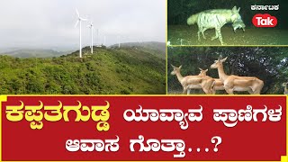 Kappatagudda Wildlife Sanctuary: ಕಪ್ಪತಗುಡ್ಡ ಯಾವ್ಯಾವ ಪ್ರಾಣಿಗಳ ಆವಾಸ ಗೊತ್ತಾ….?