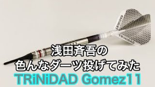 【ダーツ】色んなダーツ投げてみよう【TRiNiDAD Gomez11】