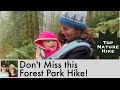 Don’t Miss this Top Nature Hike in Portland’s Forest Park: Wildwood Trail via Newberry Road