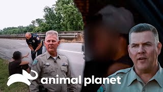 Policiais resgatam e ajudam pessoas em dificuldade | Patrulheiros da Natureza | Animal Planet Brasil