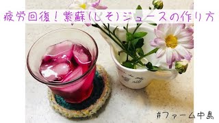 【疲労回復！】おいしい紫蘇(しそ)ジュースの作り方