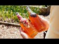 How To Make Kombucha At Home 🦠 Saves money & tastes better!