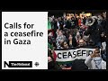 Gaza ceasefire vs. humanitarian pause: what's the difference?