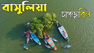 বাসুলিয়া চাপড়াবিল || Basulia Chaprabil Tangail || Nature Travel BD