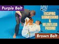 Purple Belt v  Brown Belt - [Rolling/Sparring]  Escaping Submissions & Guard Passing