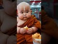 Little monk so cute Youtube Shorts 🌿🌿🌿🌿 #Viral #trending #monk #cute #new #shorts