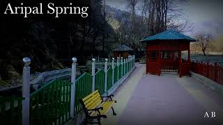 Aripal Spring (naag)||fresh water spring in Aripal ♥️🥰