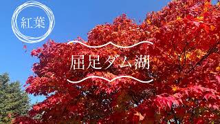 紅葉🍁屈足ダム湖（北海道 十勝 新得町）くったり湖　Kuttari  shintoku Tokachi Hokkaido