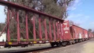 Newark train UP 5373 is going Eastbound through Sunol CA