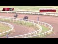 20240825 3yo 2000m race 5 内蒙古呼和浩特速度赛马常规赛d12 第5场 3岁及以上纯血马 2000米