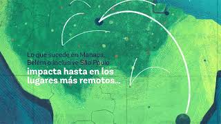 ¿Por qué la productividad urbana es importante para reducir la deforestación en la Amazonía?