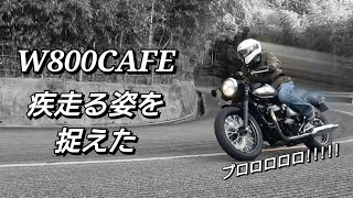 【W800CAFE】 【ワイバンクラシックマフラー】 第三者目線の排気音を録りたかったんす