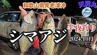 【シマアジ釣り】和歌山県見老津沖でシマアジ乱舞！？