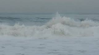 Big Surf Big Dolphins Hermosa Beach CA