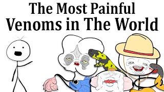 The Most Painful Venoms in The World