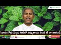 నూకల అన్నం వీళ్ళు తింటే..హెల్త్ సీక్రెట్ manthena satyanarayana raju health mantra