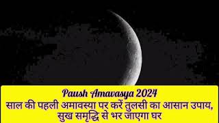 Paush Amavasya 2024 साल की पहली अमावस्या पर करें तुलसी का आसान उपाय, सुख समृद्धि से भर जाएगा घर