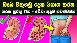 ඔබේ වකුගඩු විනාශ කරන නරක පුරුදු 12ක් - මේවා අදම නවත්වන්න | 12 Ways To Improve Kidney Health