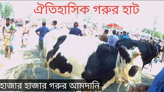 ঐতিহাসিক শঠিবাড়ী হাট থেকে গরুর দাম জেনে নিতে পারেন।। গরুর হাট,শঠিবাড়ী, রংপুর।। ১৩.০৬.২১।।