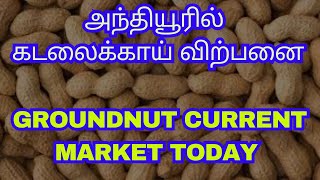 அந்தியூரில் கடலைக்காய் விற்பனை | Todays Dry Groundnut Rate At Anthiyur | Manila Market Vilai | AQSE