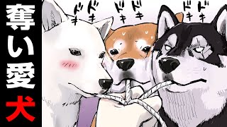 女子高生を奪い合う！？柴犬の名言【世界の終わりに柴犬と】