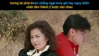 [ Vietsub ] Tình Là Nửa Đời Người  - 情繫半生 - 张学友 Jacky Cheung - 粤语歌 - Tiếng quảng đông