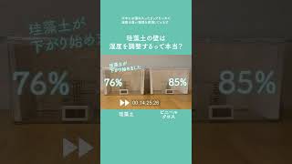 【実験】DIYでも人気の珪藻土、調質効果がすごいって本当？　#shorts