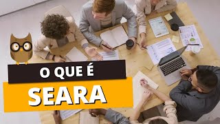 SEARA: Você sabe o significado dessa palavra?