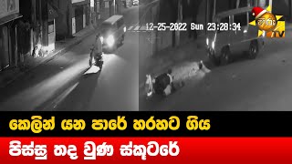 කෙලින් යන පාරේ හරහට ගිය පිස්සු තද වුණ ස්කූටරේ - Hiru News