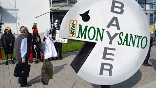 Monsanto ordered to pay $81 million to cancer victim who used Roundup weedkiller