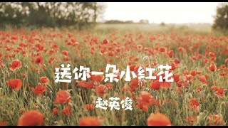 赵英俊|送你一朵小红花🌺送你一朵小红花遮住你今天新添的伤痕