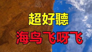 首傷感情歌《海鳥飛呀飛》，歌聲淒美傷感，唱哭了多少癡情人！给生活加点糖chinese song