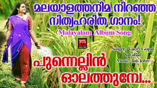 Punnellin Olathumbe | Malayalam Album Song | Hits Of Vijesh Gopal \u0026 Fahad | Malayalam Melody Song