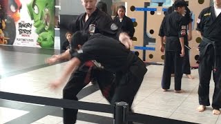 Fresno Kenpo Karate Demo 2016