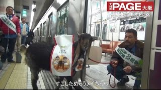 動物乗った地下鉄運行で大にぎわい ── 大阪・天王寺動物園100周年PRで