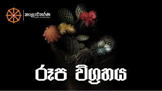 රූප විග්‍රහය 'Roopa Wigrahaya'